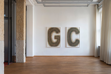 Striced Methods, Outlined Variations